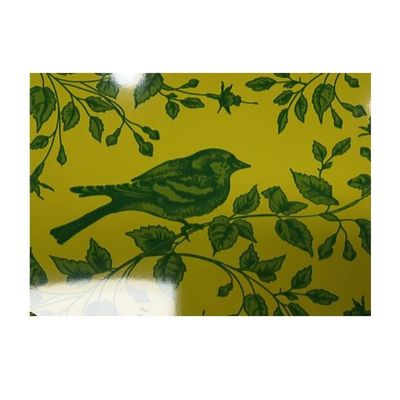 De regelmatige Rol van het Lovertjestructuur Met een laag bedekte Staal met PE/SMP/HDP/PVDF-Verf