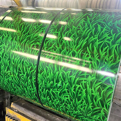 Hoogwaardige kleur coated patroon staal spoel 10-20um film coating